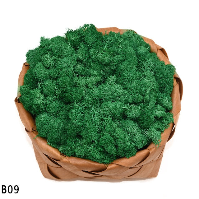 Artificial Green Plant