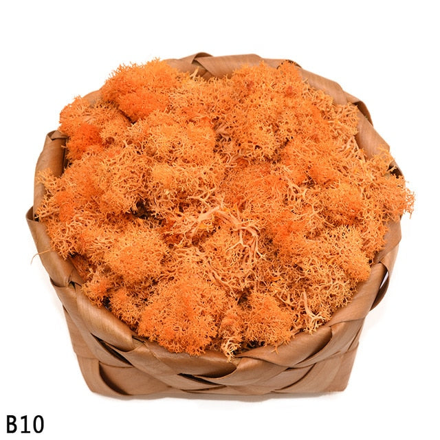 Artificial Green Plant