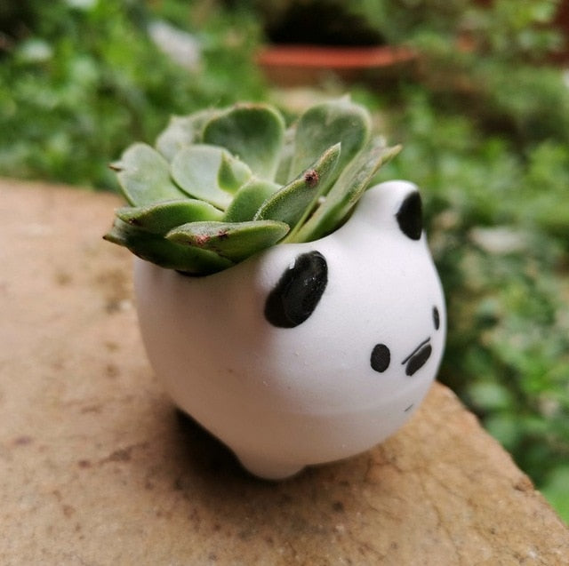 Animal Flower Pot