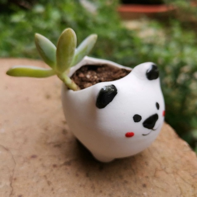 Animal Flower Pot